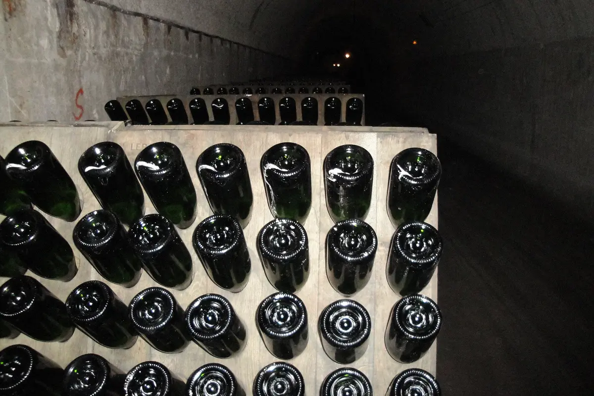 Rows of dark green Champagne bottles upside down in wooden racks in a cellar tunnel
