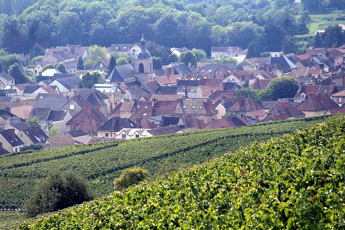 Rows of green vines on a slope above the red roofs and church tower of a village in the Marne valley, with wooded hills behind